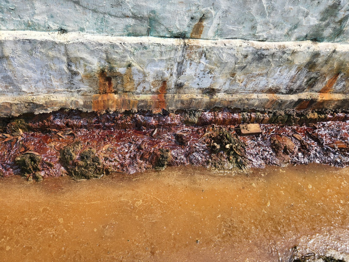 Hai Duong: Cong ty Moi truong An Sinh bi to gay o nhiem-Hinh-4