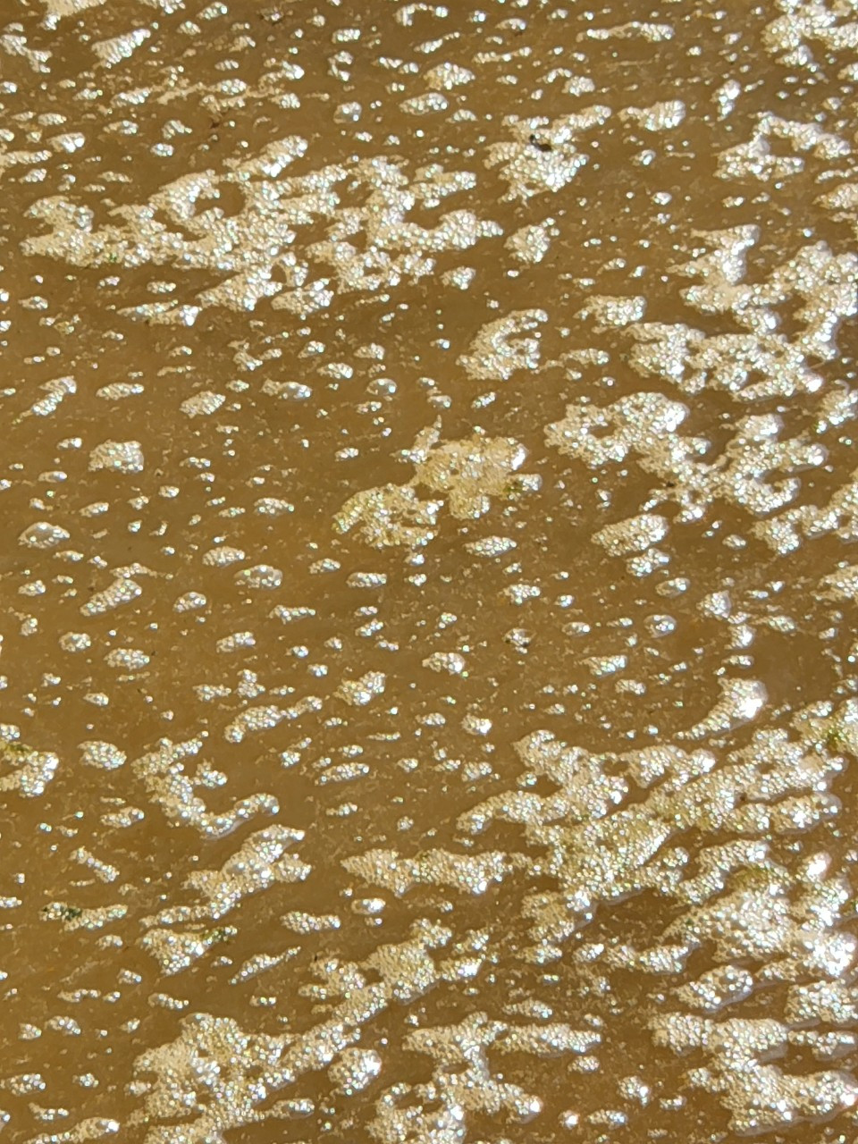 Hai Duong: Cong ty Moi truong An Sinh bi to gay o nhiem-Hinh-6