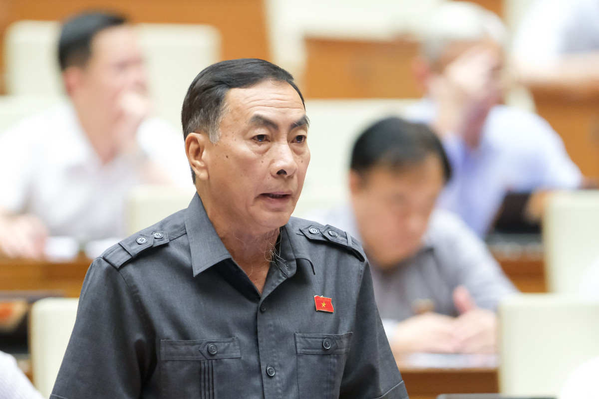 Vien Bach Mai, Viet Duc co so 2 