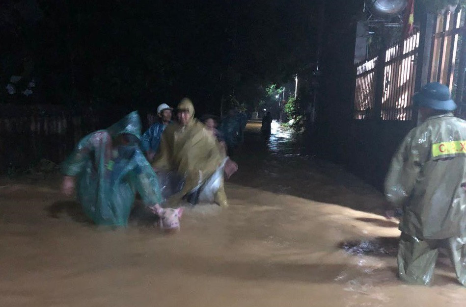 Ha Noi: Ngap lut nghiem trong do mua lu... di doi 204 ho dan-Hinh-3