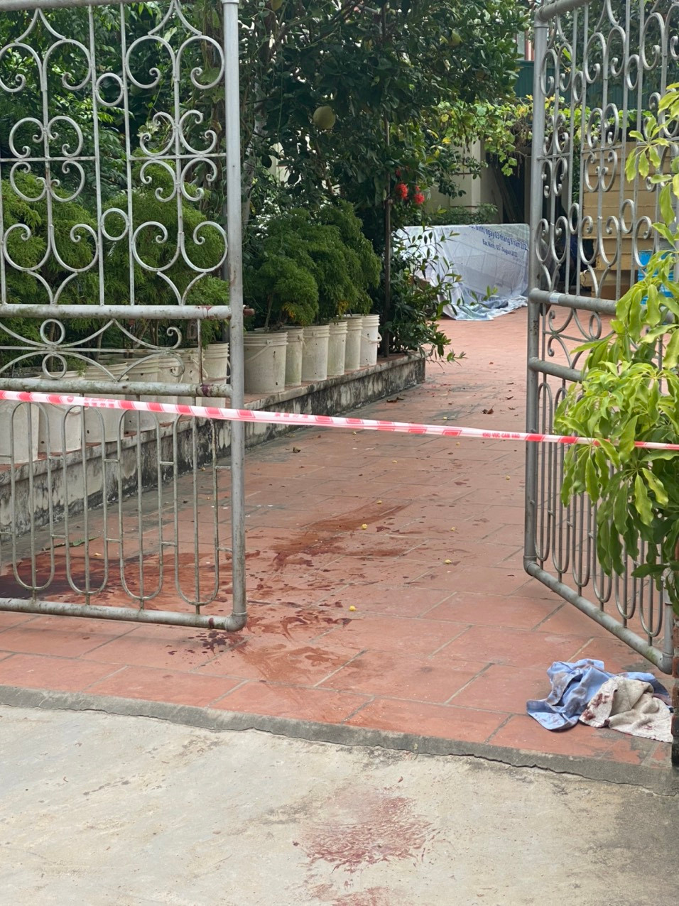 Hai Duong: Ke la mat dot nhap, chem hai vo chong trong thuong-Hinh-2