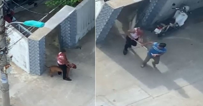 Mâu thuẫn hàng xóm, thả chó pitbull cắn người. Ngày 29/5, do mâu thuẫn và bị hàng xóm cùng một người đàn ông đánh, ông Trần Đình Thảo (SN 1976, phường Thọ Quang, Sơn Trà, Đà Nẵng) đã chạy về nhà và thả hai con chó, trong đó có chó pitbull cao khoảng 70cm, nặng khoảng 40kg qua nhà hàng xóm cắn anh Ngọc khiến anh bị thương tích ở nhiều nơi.