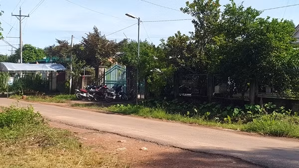 Bé trai 8 tuổi bị chó Pitbull cắn tử vong. Chiều 22/7, cháu Phan Nguyễn Thanh T. (SN 2014, ấp Cầu 2, xã Đồng Tiến, huyện Đồng Phú, Bình Phước) đã bị chó Pitpull tấn công khi sang nhà bà nội ở ấp Cầu 2, xã Đồng Tiến chơi. Do vết thương nặng, bé T sau đó đã tử vong. Trước khi xảy ra sự việc, con chó pitpull nặng khoảng 30kg được người hàng xóm gửi bà nội cháu bé trông hộ.