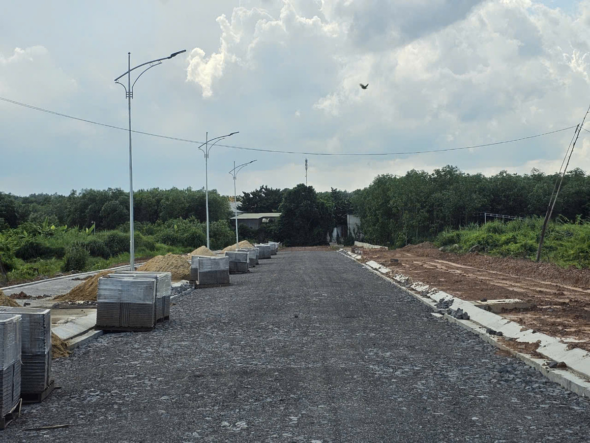 Dong Nai: Goi thau sua duong DT.769B hon 9 ty ve tay ai?-Hinh-7