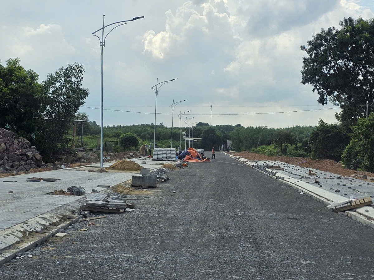 Dong Nai: Goi thau sua duong DT.769B hon 9 ty ve tay ai?-Hinh-5