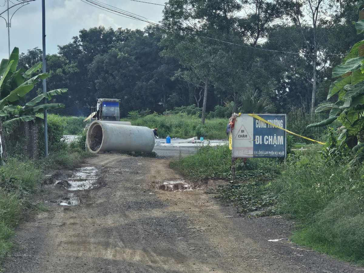 Dong Nai: Goi thau sua duong DT.769B hon 9 ty ve tay ai?-Hinh-6