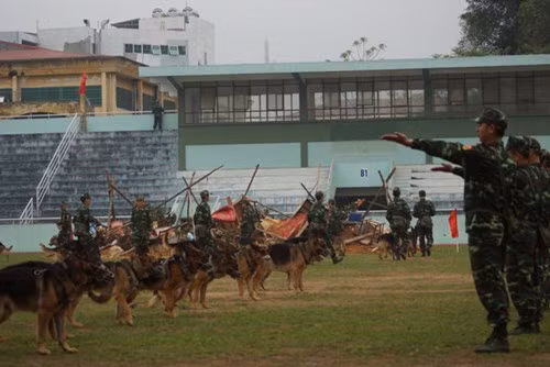 Với khả năng tuyệt vời, các chú chó nghiệp vụ luôn hỗ trợ đắc lực cho lượng biên phòng trong đánh bắt các loại tội phạm và chiến đấu với kẻ địch. Ảnh: TienPhong.