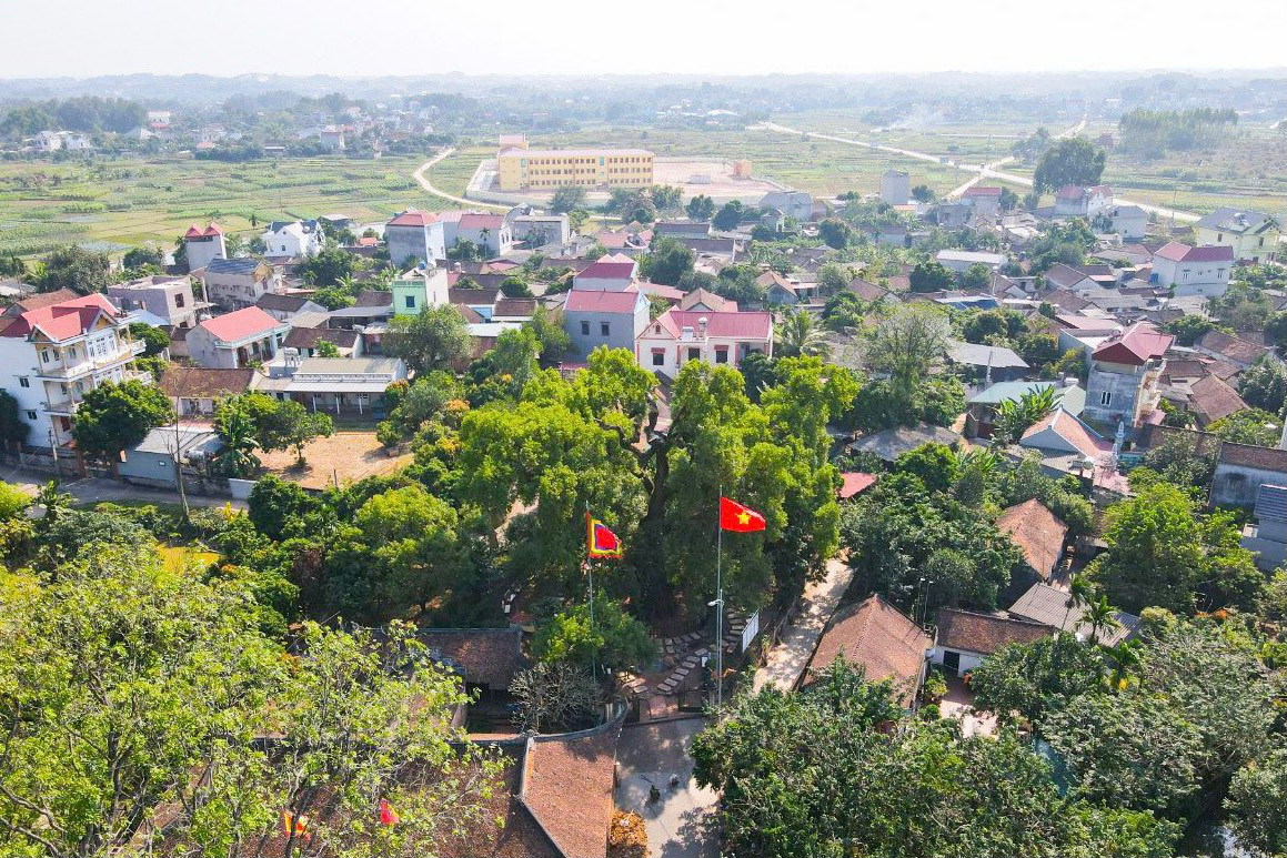 Hình ảnh "thần mộc" quý hiếm nhất trên thế giới nhìn từ trên cao. >>> Mời độc giả xem thêm video Người biến hóa cho cây hoa giấy: