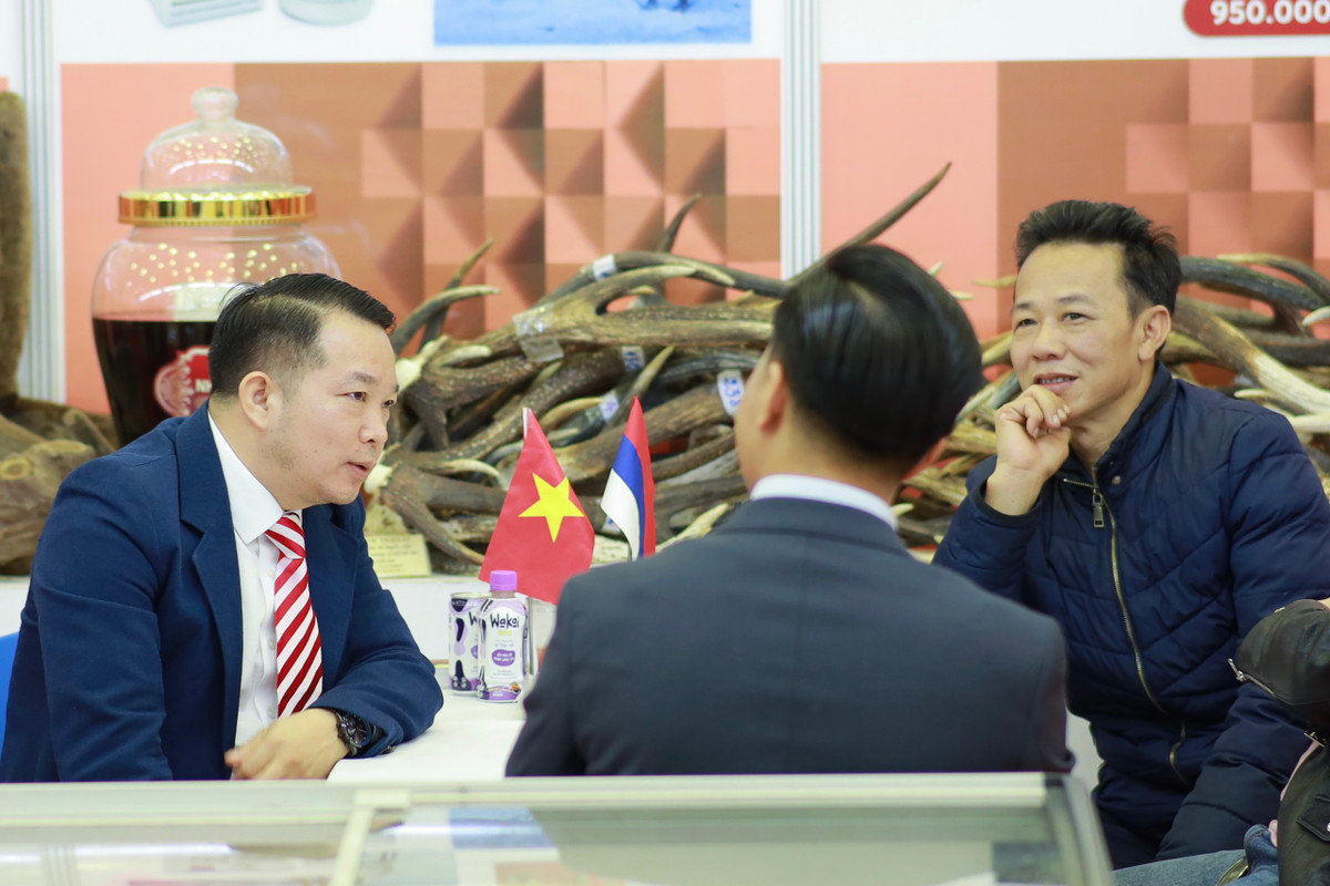 Các ngành hàng chính tại triển lãm gồm có: Năng lượng, Chế tạo máy, Luyện kim, Công nghiệp hóa chất; Công nghiệp dầu mỏ và khí đốt; Xây dựng; Giao thông vận tải; Tổ hợp công nông nghiệp; Công nghệ thông tin; Công nghiệp khai thác mỏ; Công nghệ và vật liệu mới; Y học và dược phẩm, du lịch chữa bệnh; Ngân hàng và đầu tư; Giáo dục và Khoa học; Hàng tiêu dùng; Lĩnh vực dịch vụ… 