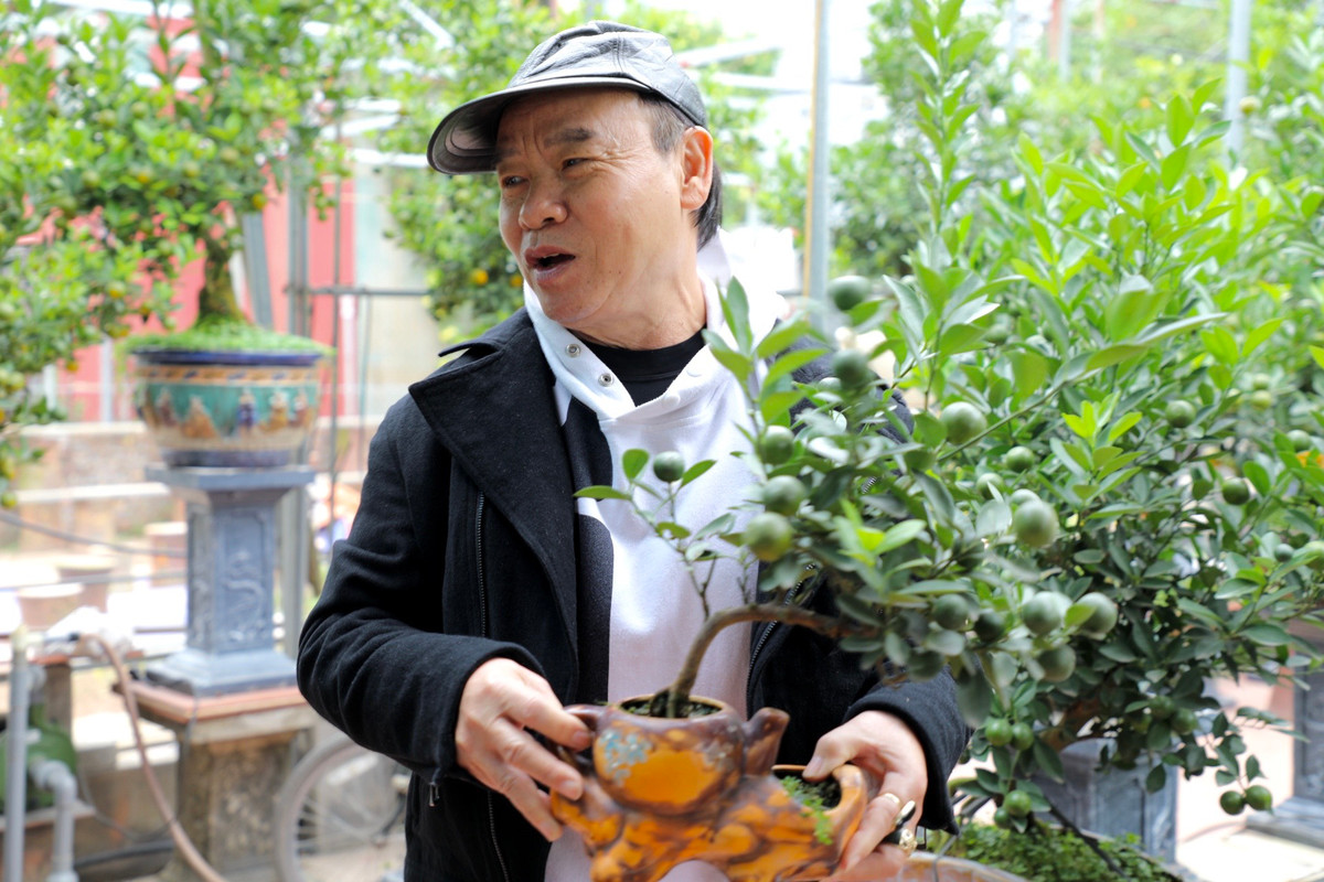 Ông Tống Đức Bình (70 tuổi, Hà Nội) hôm nay đã đi mua quất cảnh từ sớm: "Năm nào giờ vào thời điểm này tôi cũng đi mua quất. Phải đặt mua từ sớm thì mới có nhiều cây đẹp, mua muộn người ta chọn hết mất. Hiện tôi đã đặt mua 2 cây rồi, giờ đang tìm đặt thêm. Năm mới, thay vì tặng tiền, tôi sẽ tặng cây cho bạn bè."