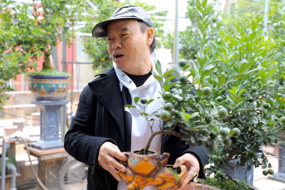 Ông Tống Đức Bình (70 tuổi, Hà Nội) hôm nay đã đi mua quất cảnh từ sớm: "Năm nào giờ vào thời điểm này tôi cũng đi mua quất. Phải đặt mua từ sớm thì mới có nhiều cây đẹp, mua muộn người ta chọn hết mất. Hiện tôi đã đặt mua 2 cây rồi, giờ đang tìm đặt thêm. Năm mới, thay vì tặng tiền, tôi sẽ tặng cây cho bạn bè."