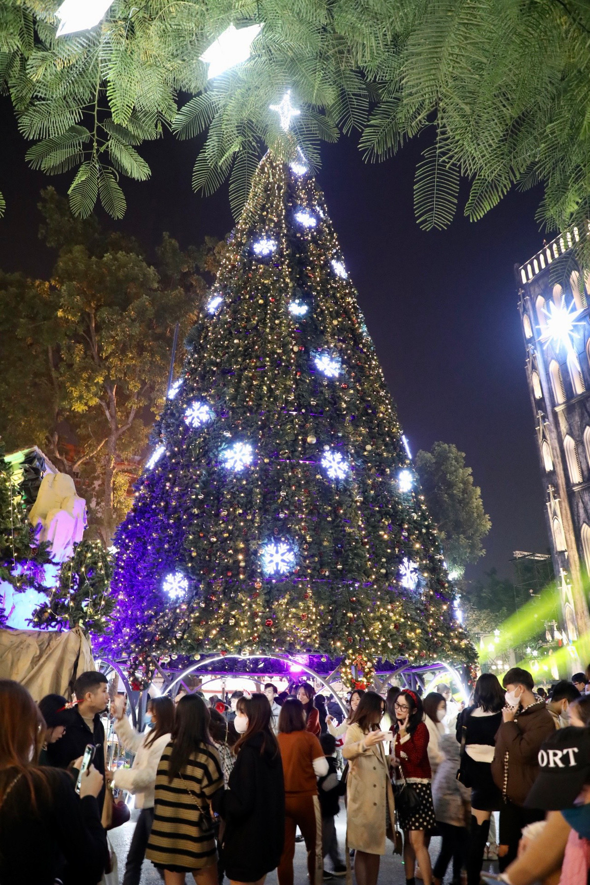 Nhà thờ Lớn được trang trí cây thông Noel “khổng lồ” cao 20m với hệ thống đèn led toả sáng lấp lánh đặt ở khuôn viên phía trước Nhà thờ.