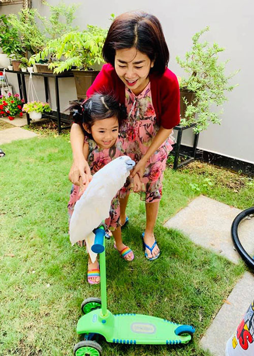 Khi Mai Phương bị bệnh, Ốc Thanh Vân và một số người muốn nhận nuôi bé Lavie. Tuy nhiên, theo lời Ốc Thanh Vân, có lẽ Mai Phương sợ cô đông con nhỏ, khó chu toàn được nếu thêm Lavie.