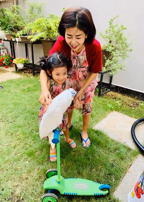 Khi Mai Phương bị bệnh, Ốc Thanh Vân và một số người muốn nhận nuôi bé Lavie. Tuy nhiên, theo lời Ốc Thanh Vân, có lẽ Mai Phương sợ cô đông con nhỏ, khó chu toàn được nếu thêm Lavie.