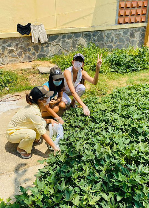 Nữ người mẫu không ngại nắng nóng vì muốn ăn rau luộc.