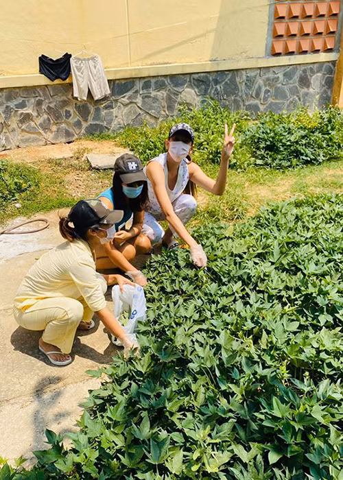 Nữ người mẫu không ngại nắng nóng vì muốn ăn rau luộc.