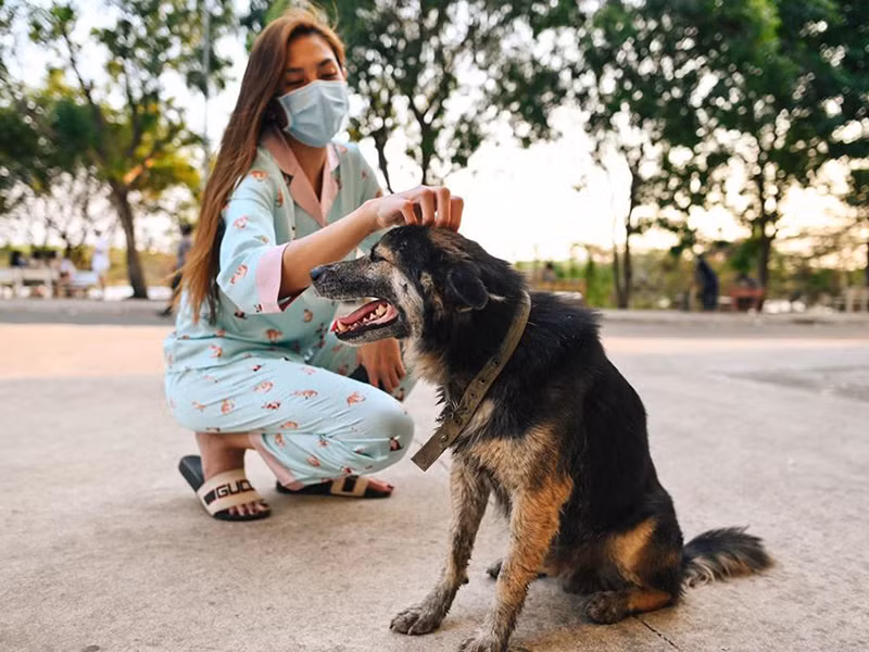 Vo Hoang Yen di cach ly van tich cuc cham cho, nhat rac, hai rau