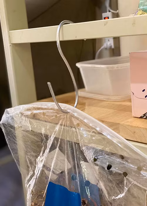 Người đẹp chia sẻ một số sáng tạo nhỏ cho không gian của cô và những người cùng phòng.