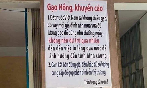 Giua mua dich COVID-19: Da Nang de thuong qua!-Hinh-2