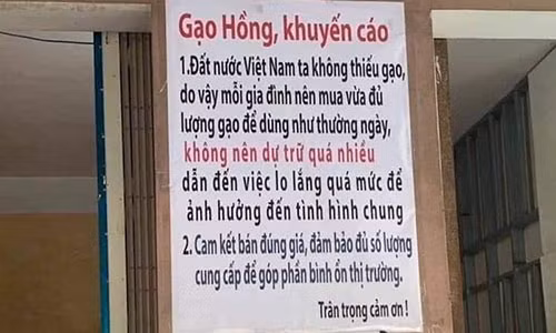 Giua mua dich COVID-19: Da Nang de thuong qua!-Hinh-2