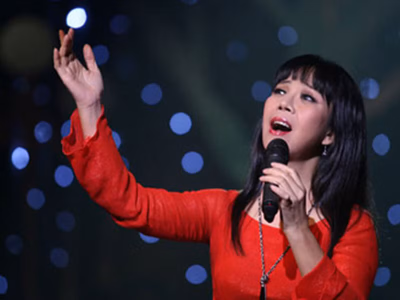 Ca sĩ Anh Tuyết đầu tư hơn 4 tỷ để cải tạo, tân trang phòng trà nhưng khi hoạt động chỉ toàn thua lỗ khiến cô mất 40 triệu mỗi tháng. Khi phòng trà hoạt động khó khăn, Ánh Tuyết mở thêm nhà hàng, quán cà phê để lấy ngắn nuôi dài nhưng không như ý muốn.