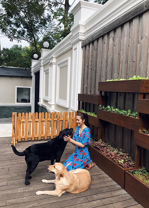 Dù bước chân vào cánh cửa hào môn nhưng Hà Tăng chưa bao giờ khoe mẽ, phô trương sự giàu có.