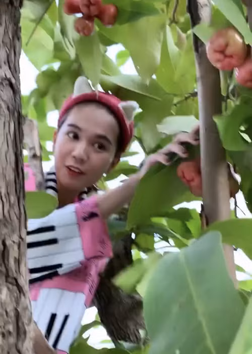 Nữ người mẫu sinh năm 1989 chẳng ngại leo cây hái trái trong biệt thự.