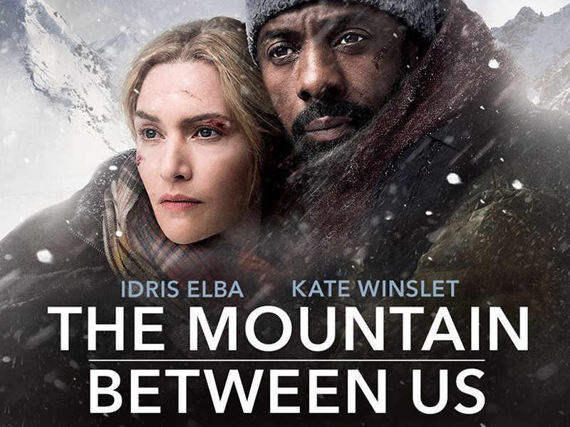 Năm 2017, nam diễn viên đóng cặp với Kate Winslet trong "The mountain between us".