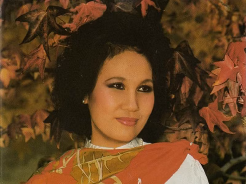 Tên tuổi của Thái Thanh gắn liền với những bản nhạc của Phạm Duy như “Dòng sông xanh”, “Cho nhau”, “Nương chiều”, “Kỷ niệm”. Phạm Duy từng khẳng định, trong những người hát nhạc Phạm Duy, ông ưng nhất là Thái Thanh, Duy Quang và sau này có Đức Tuấn. Ảnh: Đang Yêu