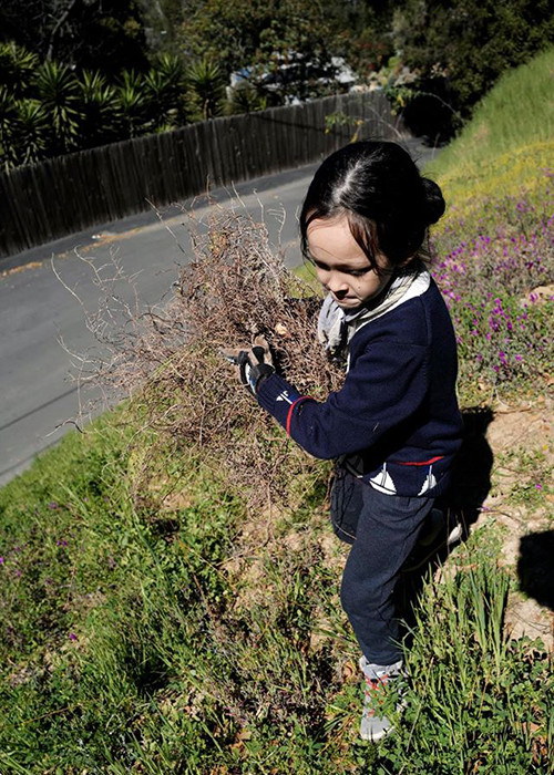 Ngoài saxophone, bé Tom còn thích làm vườn.