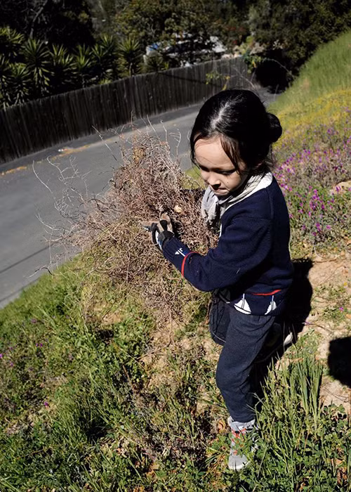 Ngoài saxophone, bé Tom còn thích làm vườn.