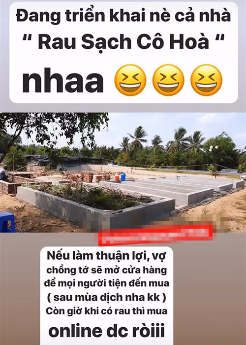 Hiện tại, Hòa Minzy và bạn trai Minh Hải triển khai kế hoạch kinh doanh rau sạch online. “Nếu làm thuận lợi, vợ chồng tớ sẽ mở cửa hàng để mọi người tiện đến ghé mua, sau mùa Covid-19 nhé. Còn giờ khi có rau thì mua online được rồi”, nữ ca sĩ cho hay. Không chỉ Hòa Minzy, không ít sao Việt cũng loay hoay kiếm tiền mùa Covid-19.