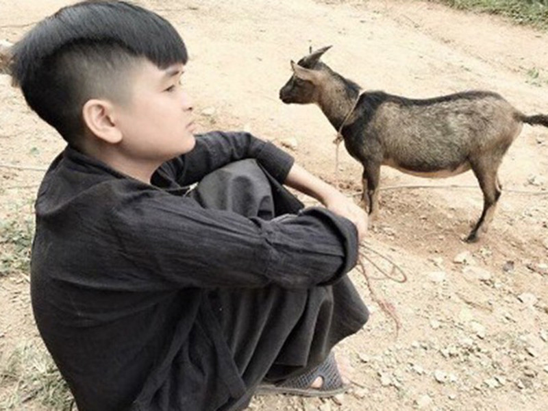 Sau ồn ào sử dụng ma túy, Trần Thái Nhựt lẫn diễn viên “Cu Thóc” đều im hơi lặng tiếng. Ảnh: Điện ảnh Việt Nam