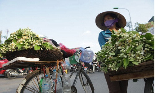 Du bao thoi tiet ngay 1/3: Nen nhiet mien Bac co noi tren 32 do