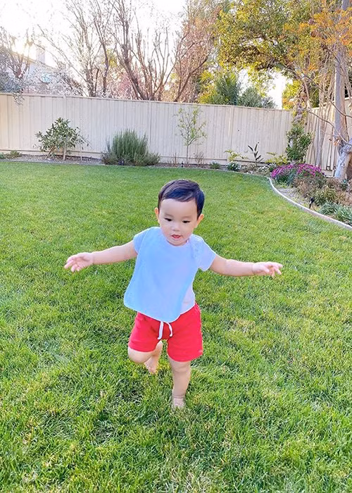 Phạm Hương còn chăm chút cho khu vườn trồng hoa, cây ăn quả, rau.