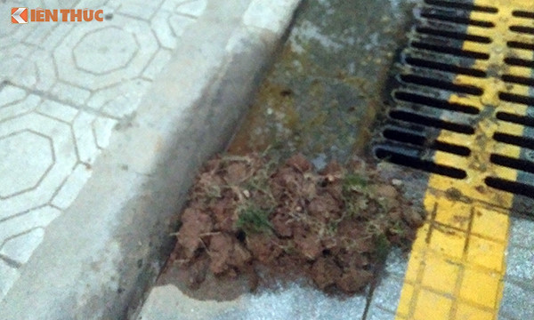 Nuoc be phot tran chung cu The Vesta: BQL noi nguoi dan xa thai tac duong ong?-Hinh-3