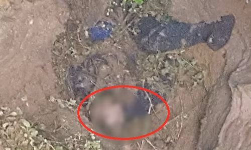 Con gai rung roi phat hien cha chet duoi ho gan nha