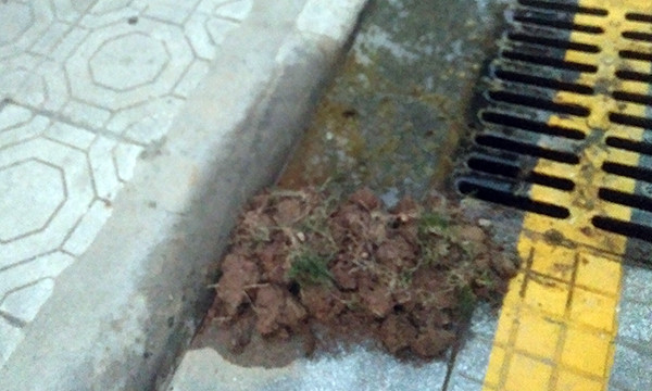 Cu dan The Vesta khon kho bit mui vi nuoc be phot tran day san-Hinh-3