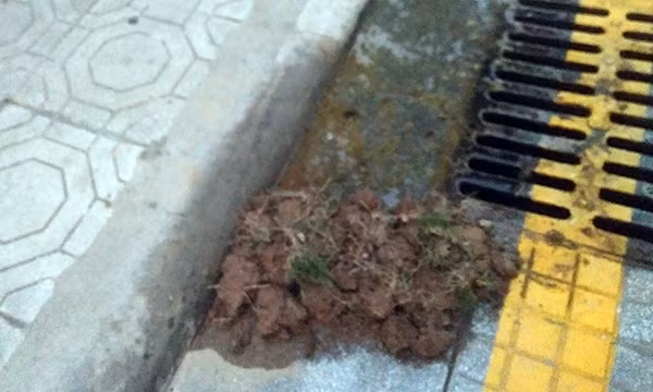 Cu dan The Vesta khon kho bit mui vi nuoc be phot tran day san-Hinh-3