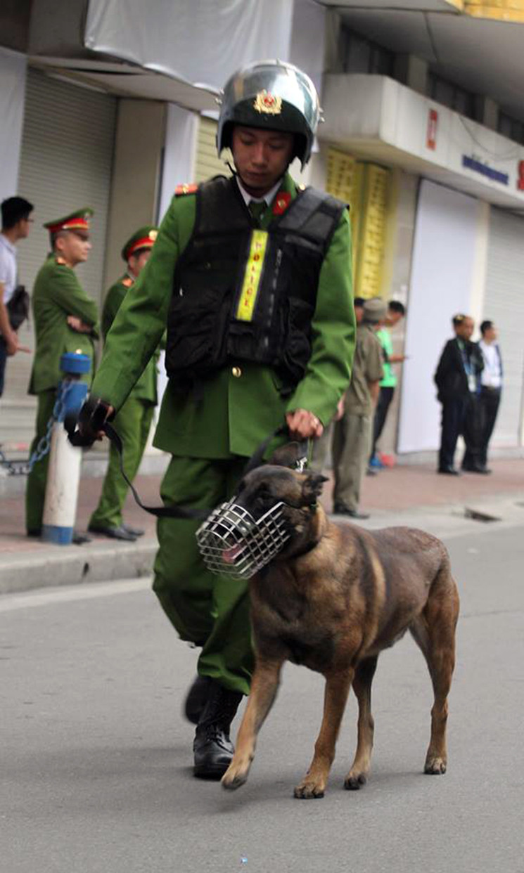 Cảnh khuyển cũng được huy động để đảm bảo an ninh trước trận Việt Nam - Campuchia