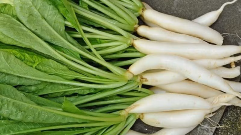 Tác dụng của rau củ cải cũng rất nhiều, vì hỗ trợ tiêu hóa tốt lại chứa lượng calo và cholesterol thấp, nên nó rất thích hợp cho những người đang muốn kiểm soát cân nặng.