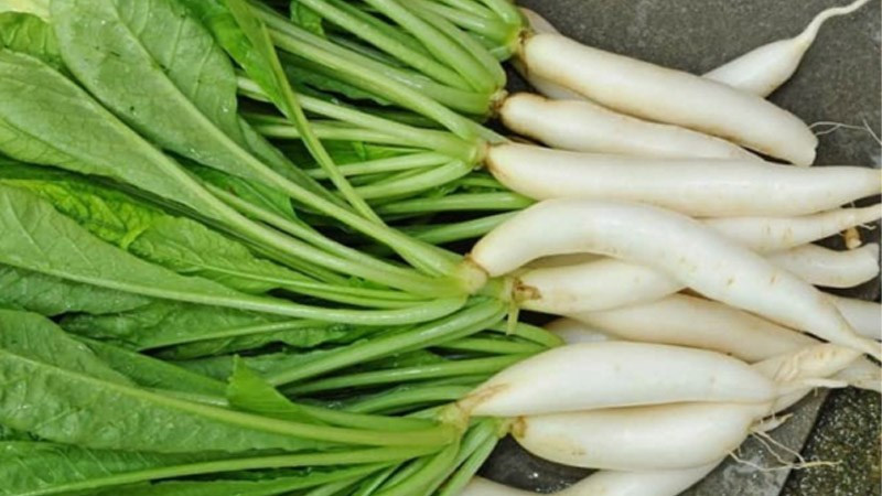 Tác dụng của rau củ cải cũng rất nhiều, vì hỗ trợ tiêu hóa tốt lại chứa lượng calo và cholesterol thấp, nên nó rất thích hợp cho những người đang muốn kiểm soát cân nặng.