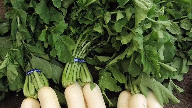 Một số nghiên cứu dinh dưỡng cũng chỉ ra, lá củ cải chứa rất nhiều hàm lượng kali, có tác dụng kiểm soát và duy trì huyết áp ổn định, ngăn ngừa huyết áp cao, bệnh tim và tai biến mạch máu não cực kỳ tốt.