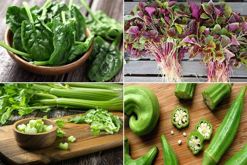 Khong muon ngo doc dung ngay viec an song 6 loai rau nay-Hinh-3