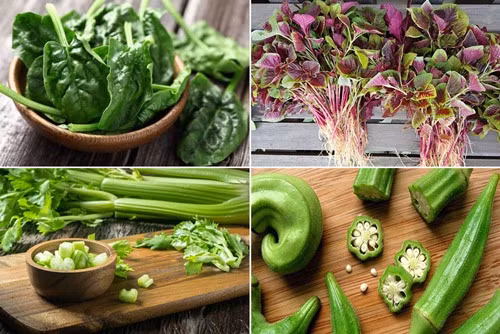 Khong muon ngo doc dung ngay viec an song 6 loai rau nay-Hinh-3