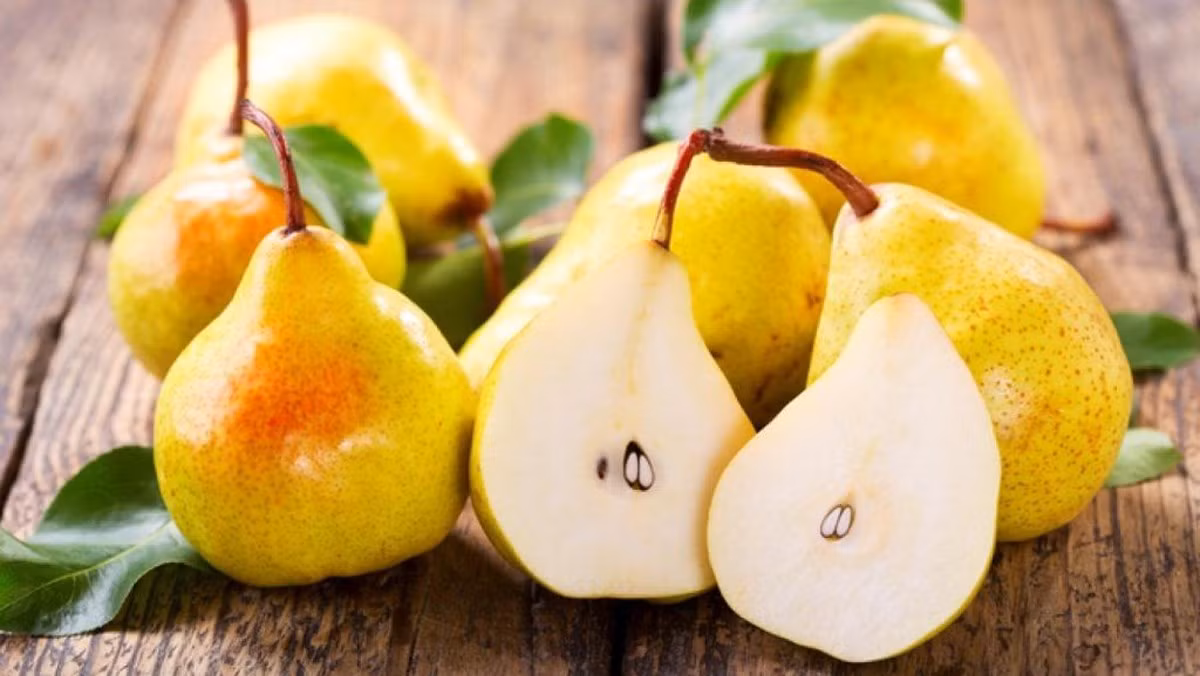 Lê có rất nhiều công dụng, trong đó có công dụng bổ phổi, giúp phổi hoạt động trơn tru hơn.