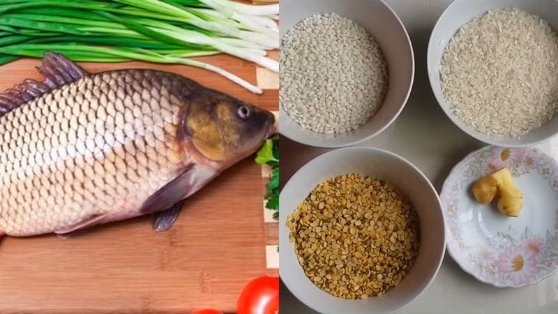 Cụ thể, cá chép nấu chung với đậu xanh sẽ rất dễ gây tiêu chảy, đi tiểu nhiều lần, ảnh hưởng nhất định đến chức năng tiêu hóa của dạ dày và ruột.