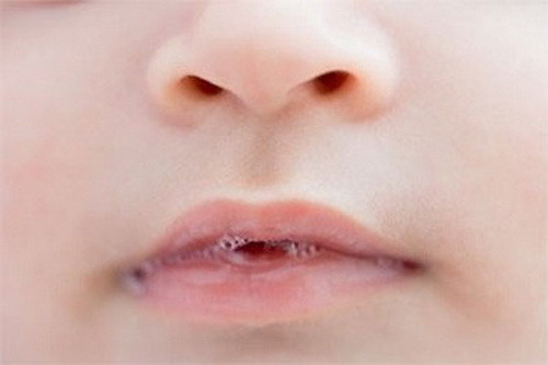 Người xưa tin rằng nước bọt là chất tự nhiên vô cùng quan trọng để duy trì sức khỏe của đường tiêu hóa, khoang miệng và cơ thể, là chất dinh dưỡng lỏng rất quý trong cơ thể con người. Không ngoa khi nói nước bọt được coi là báu vật của y học cổ truyền giúp giữ gìn sức khỏe.