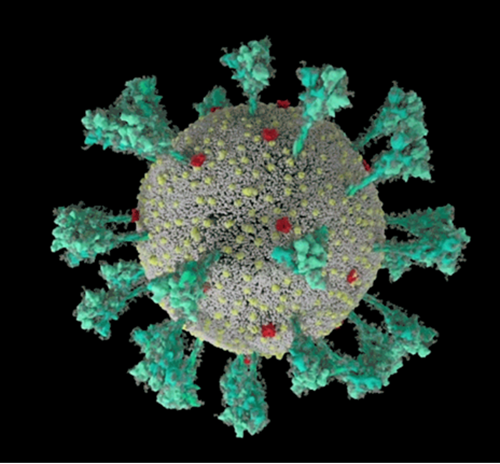 Chi mat 14 giay de lay truyen, bien chung Delta khong ngung nguy hiem-Hinh-2