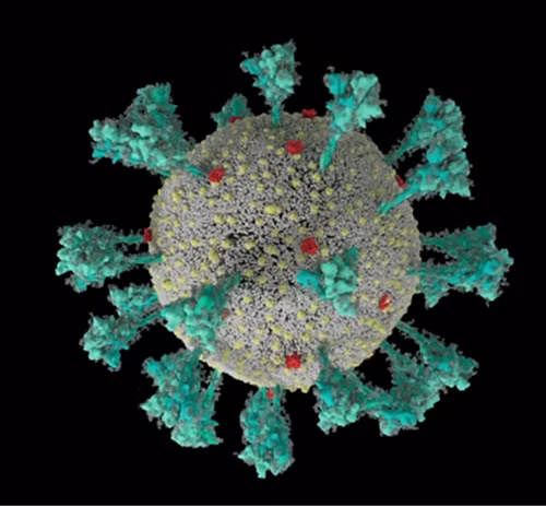 Chi mat 14 giay de lay truyen, bien chung Delta khong ngung nguy hiem-Hinh-2